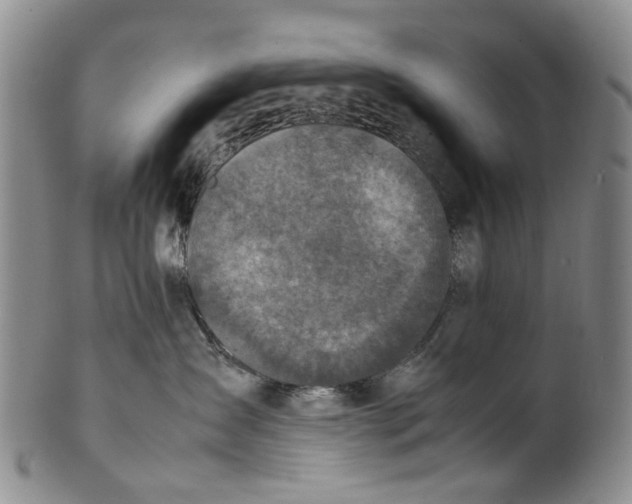 X0000100420431200806271511