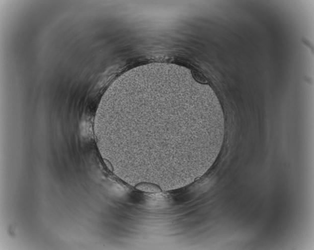 X0000100420432200806271511