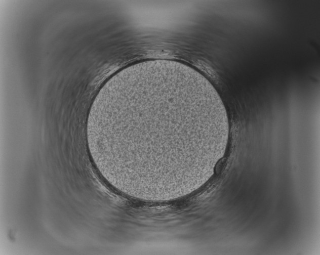 X0000100420433200806271510