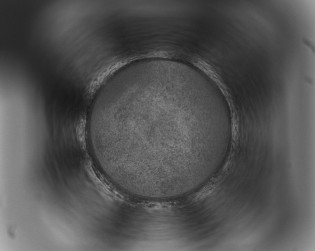 X0000100420434200806271510