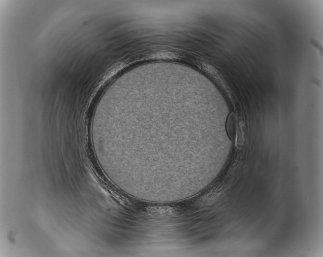 X0000100420435200806271510