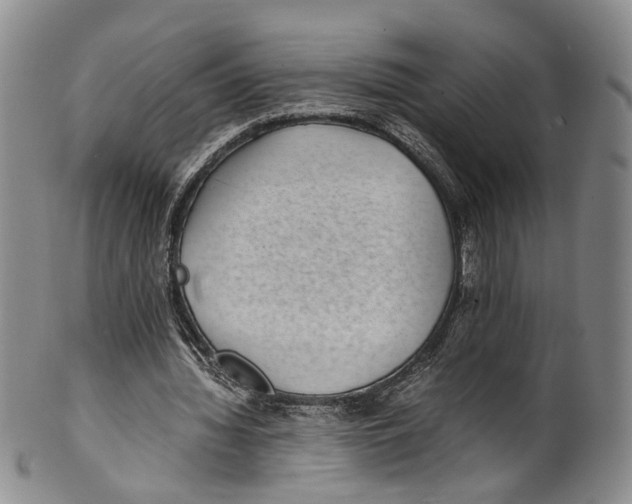 X0000100420436200806271510