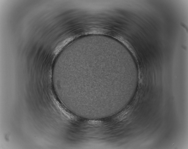 X0000100420437200806271510