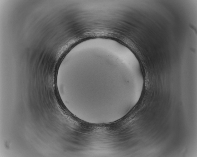 X0000100420438200806271510