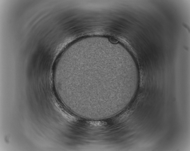 X0000100420439200806271511