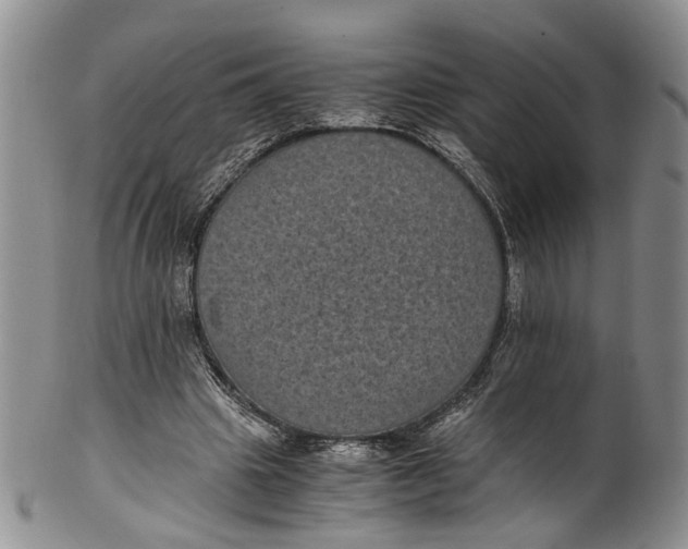 X0000100420441200806271511