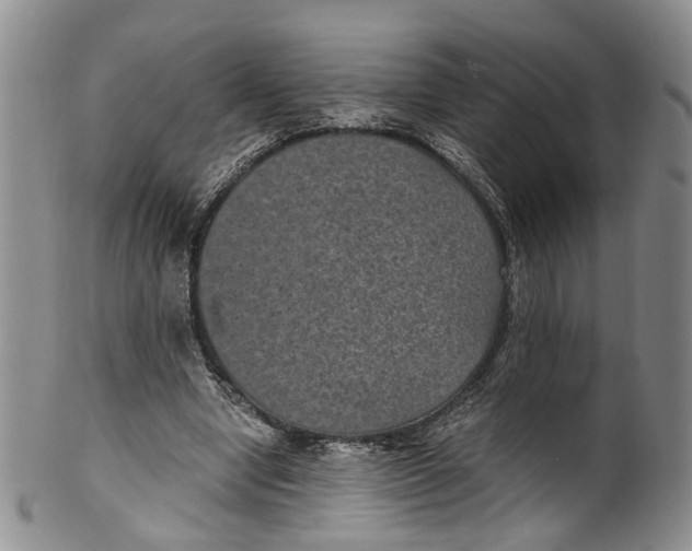 X0000100420442200806271511