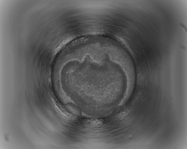 X0000100420443200806271511