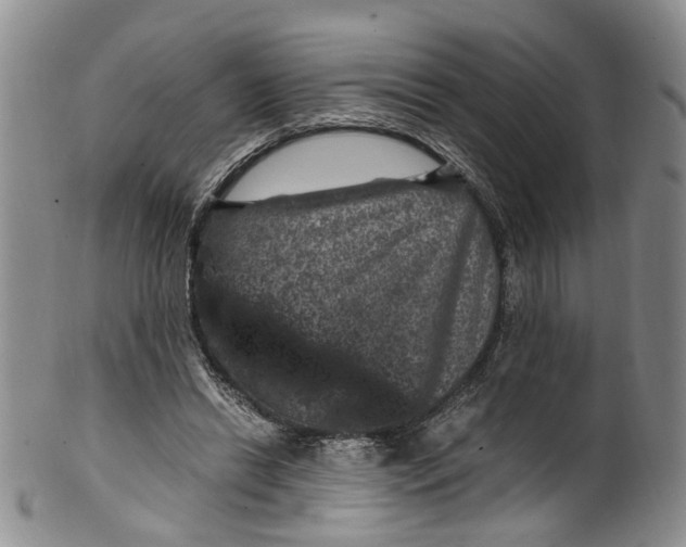 X0000100420446200806271511