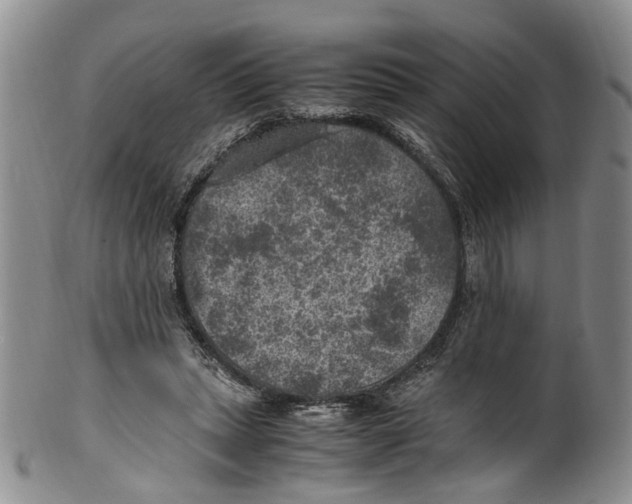 X0000100420447200806271511