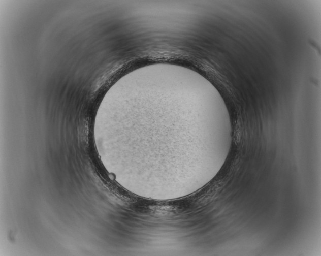 X0000100420448200806271511