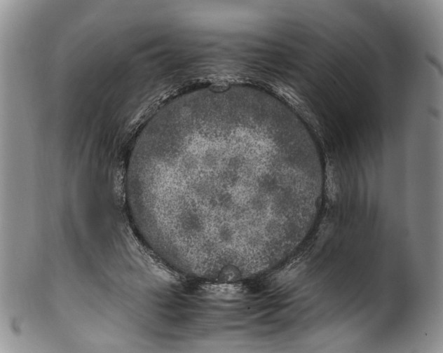 X0000100420449200806271511