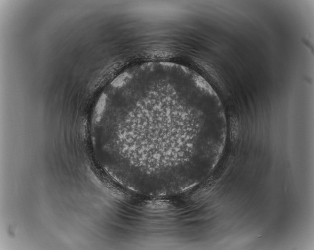 X0000100420451200806271511