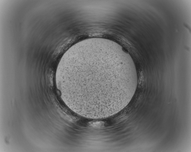 X0000100420452200806271511