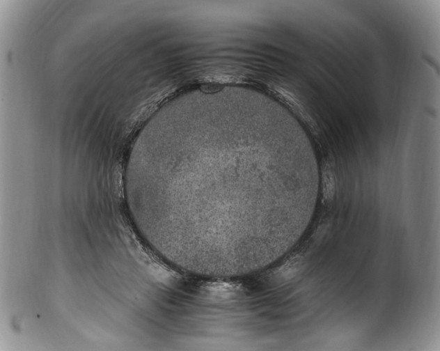 X0000100420453200806271511