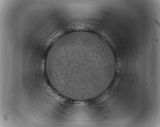 X0000100420454200806271511