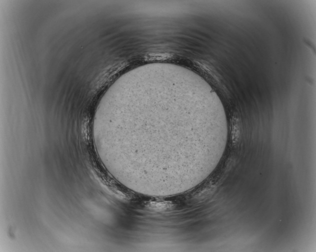 X0000100420455200806271511