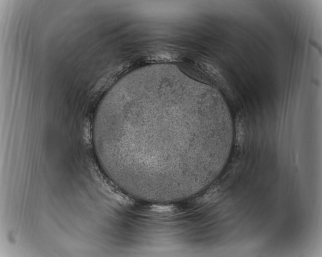 X0000100420457200806271511