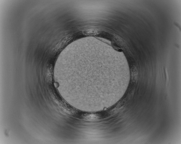 X0000100420460200806271511