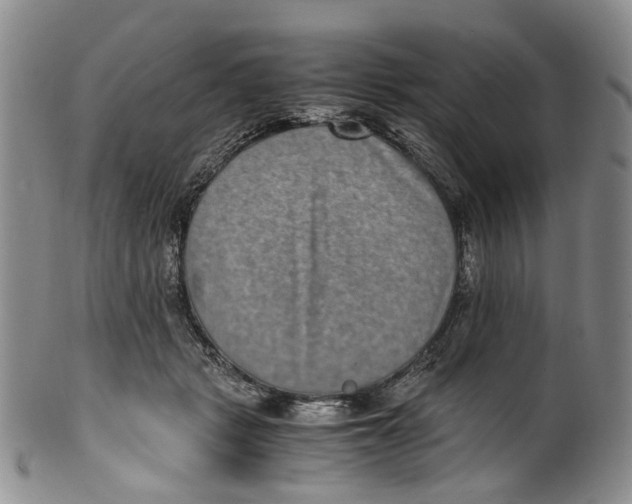 X0000100420461200806271511