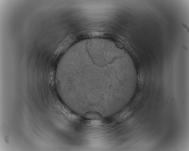 X0000100420462200806271511