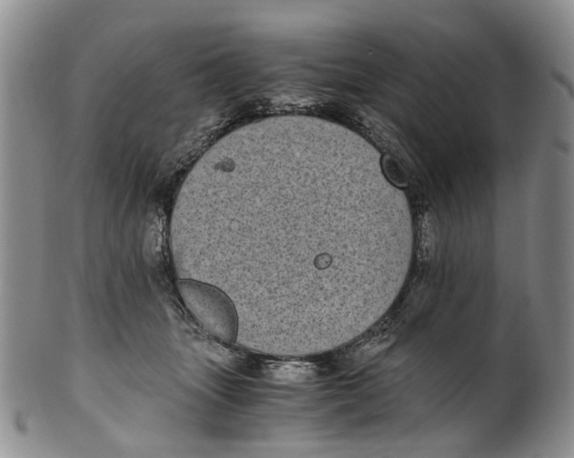 X0000100420463200806271511