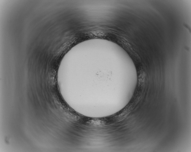 X0000100420464200806271511