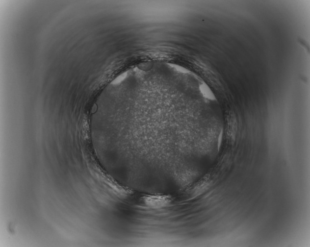 X0000100420465200806271511