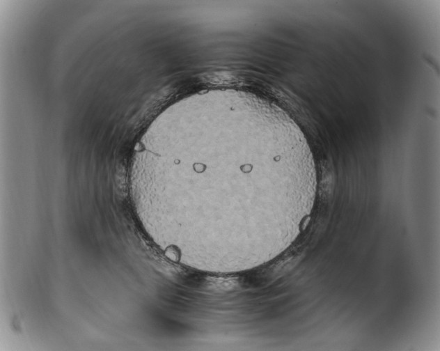 X0000100420469200806271511