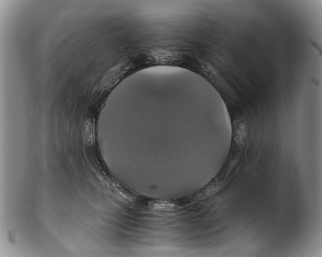 X0000100420471200806271511