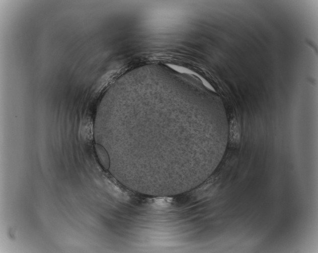 X0000100420474200806271511