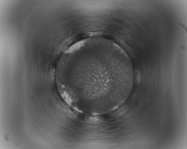 X0000100420475200806271511