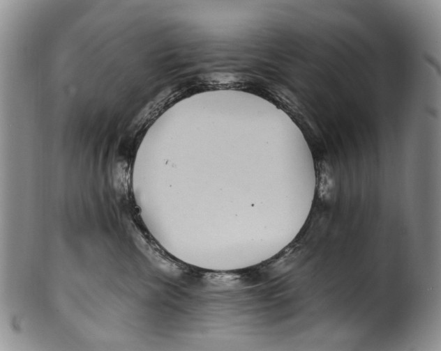 X0000100420476200806271511