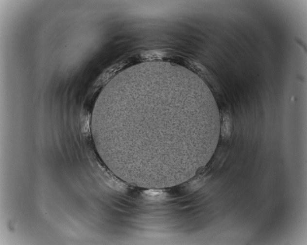 X0000100420477200806271511