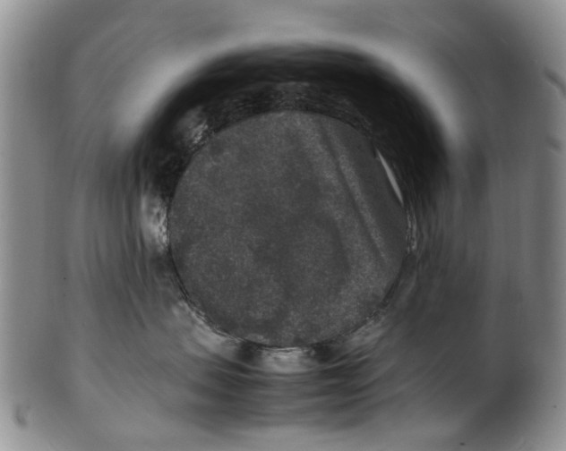 X0000100420479200806271511