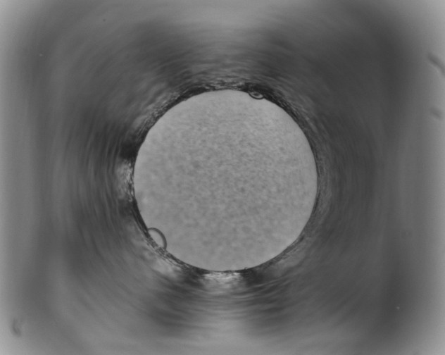 X0000100420480200806271511