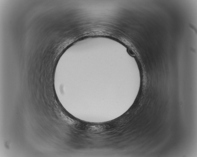 X0000100420481200806271510