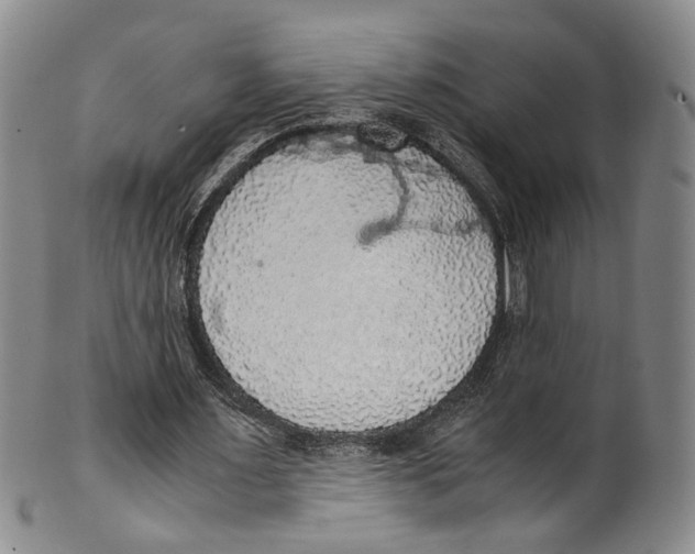 X0000100420483200806271510