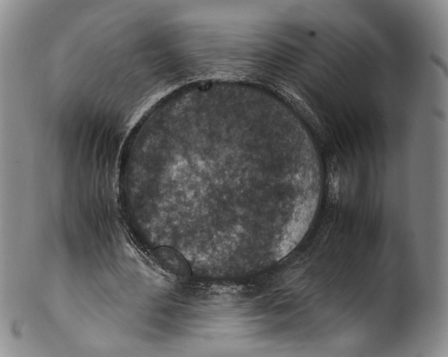 X0000100420484200806271510