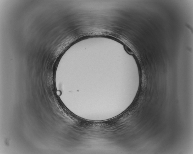 X0000100420485200806271510