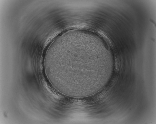 X0000100420486200806271510