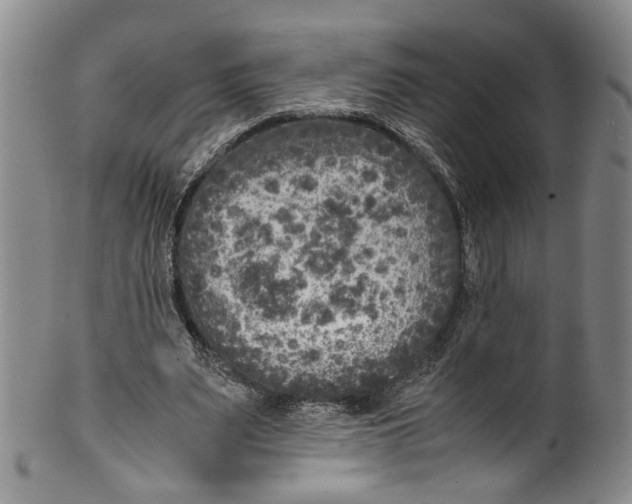 X0000100420487200806271510