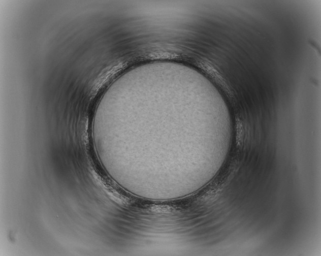 X0000100420490200806271510