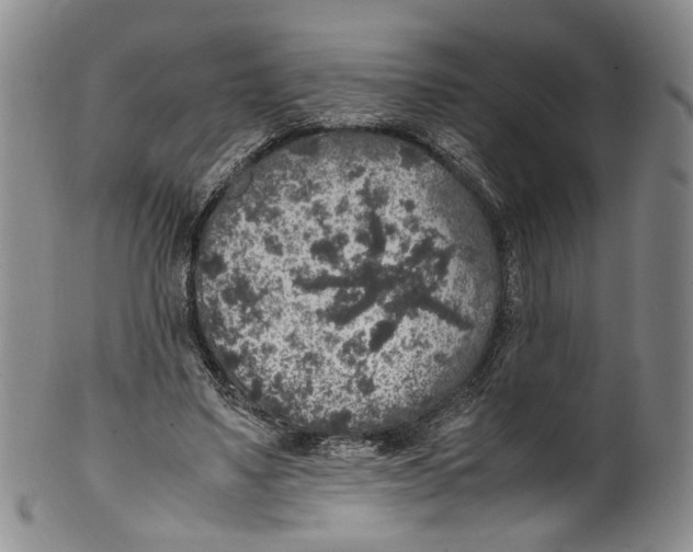 X0000100420491200806271510