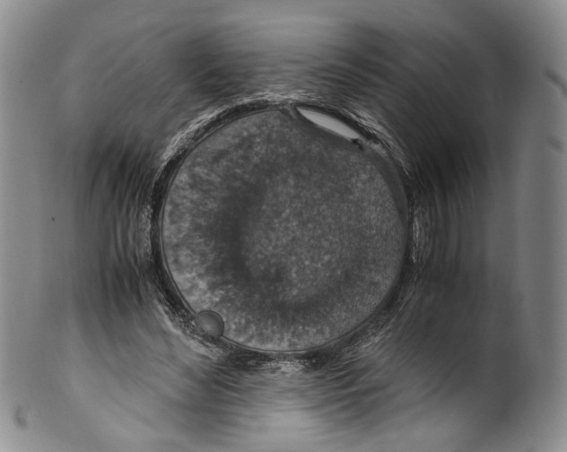 X0000100420492200806271510