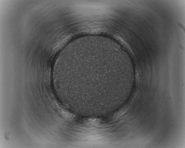 X0000100420493200806271510