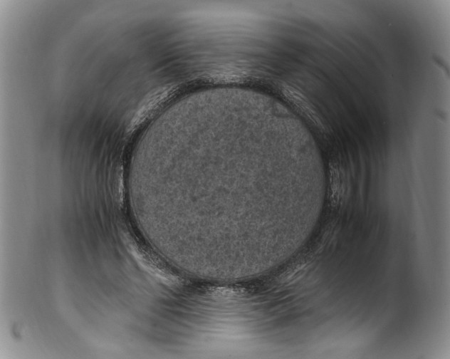 X0000100420494200806271510