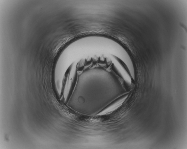 X0000100420495200806271510