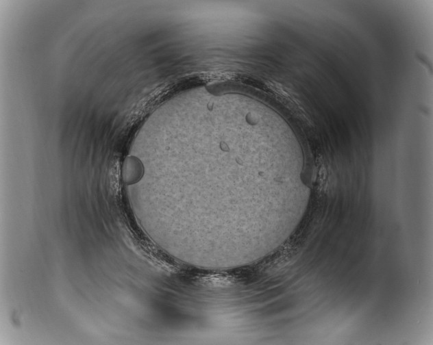 X0000100420498200806271510