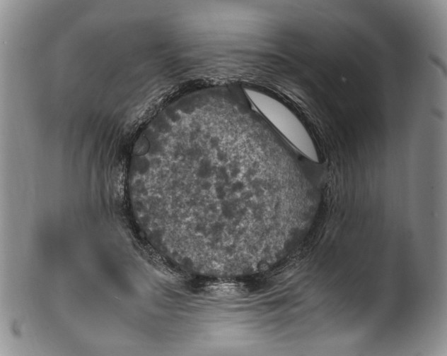 X0000100420499200806271510